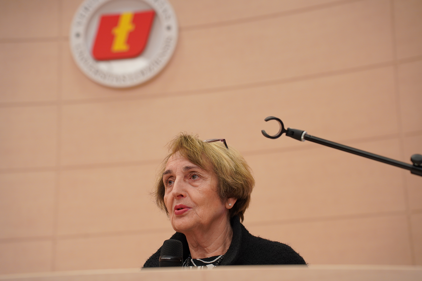 Profesor Małgorzata Pyziak-Szafnicka podczas wypowiedzi
